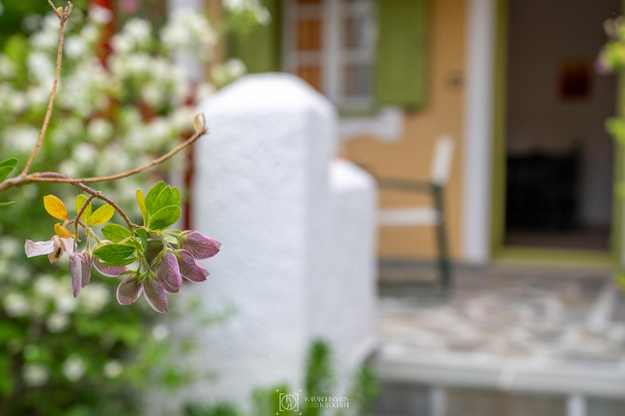 Pleiades Samos Apartment Marathokampos