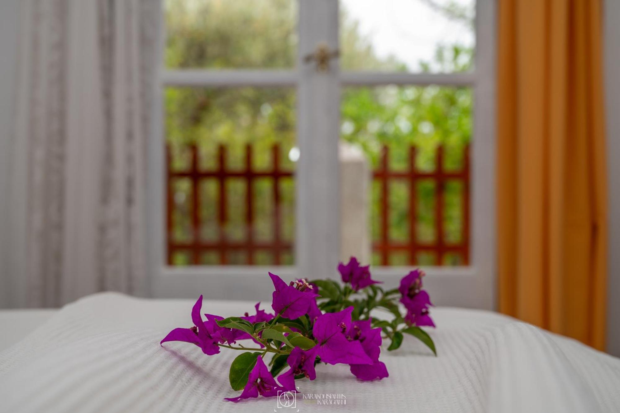 Pleiades Samos Apartment